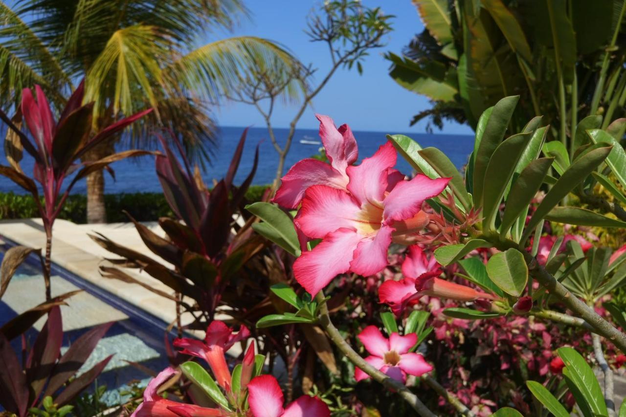Alam Mimpi Bali Hotell Tejakula Eksteriør bilde